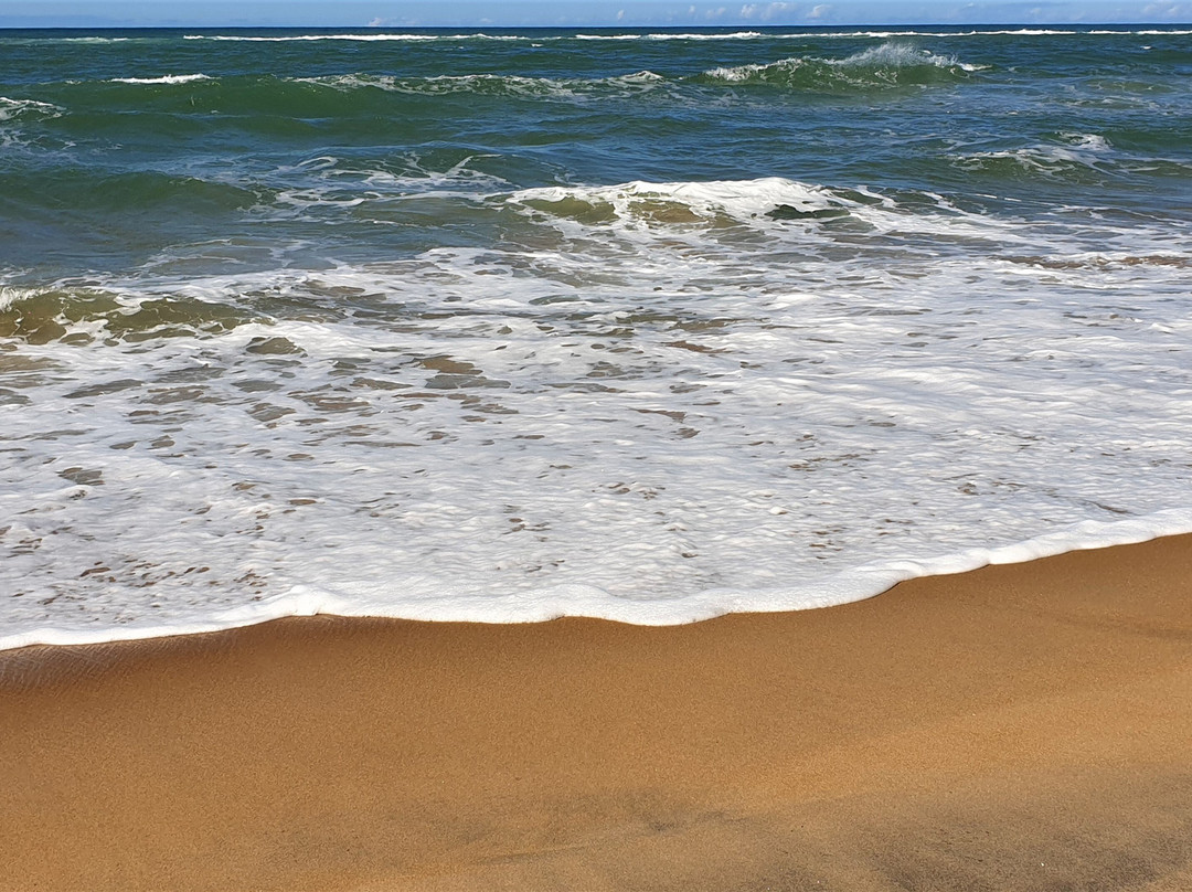 Plage de Mangily景点图片