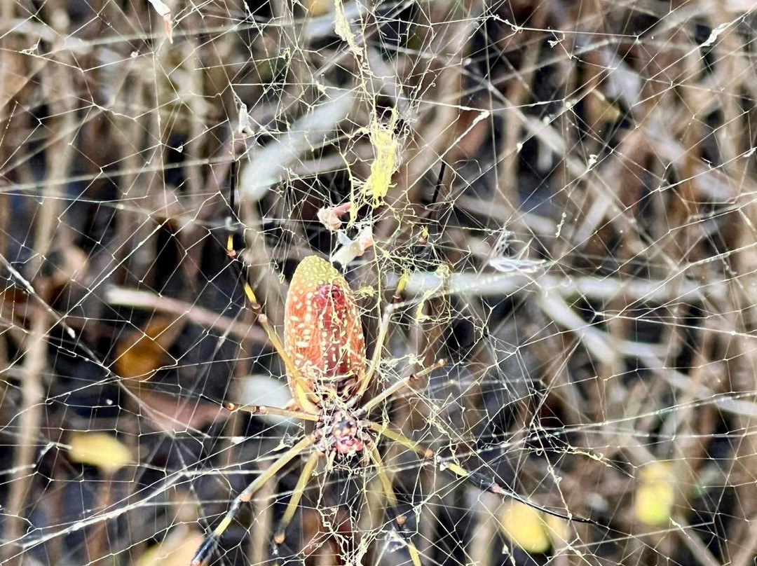 Reserva de la Biosfera Ría Celestún-塞莱斯顿必去景点