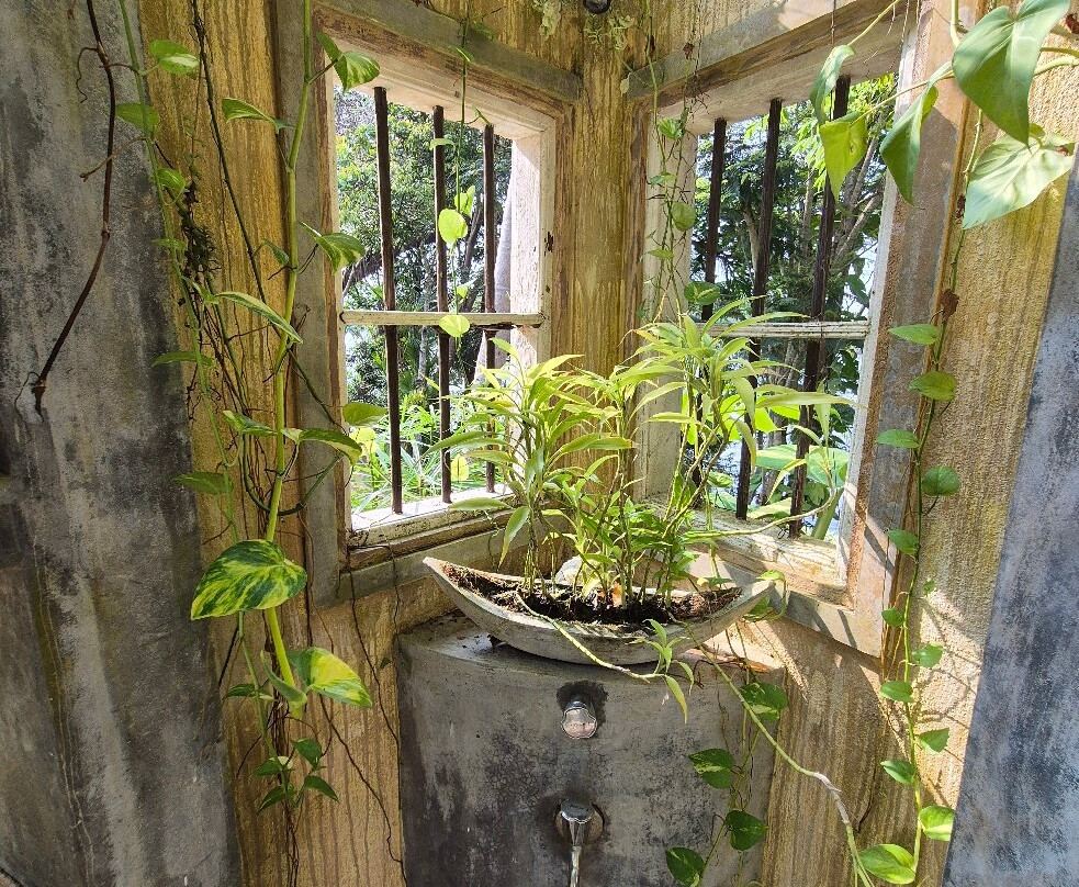 鸟湖别墅酒店主图