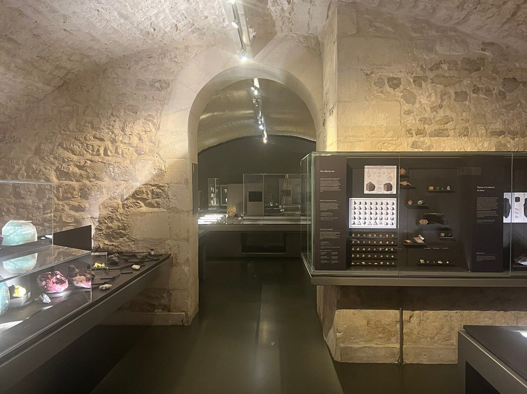 Museum d'histoire naturelle de La Rochelle景点图片