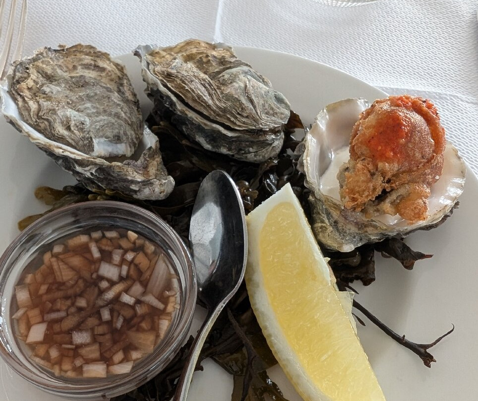 The Seaside Boarding House主图