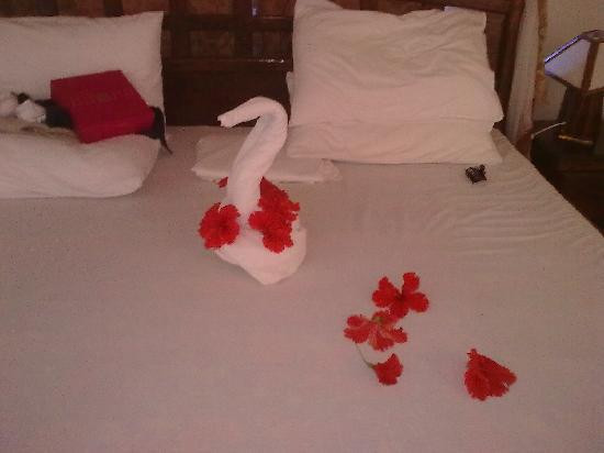 Swahili Beach Resort主图