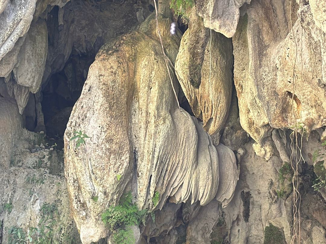 Horseback Riding Tours-特立尼达必去景点