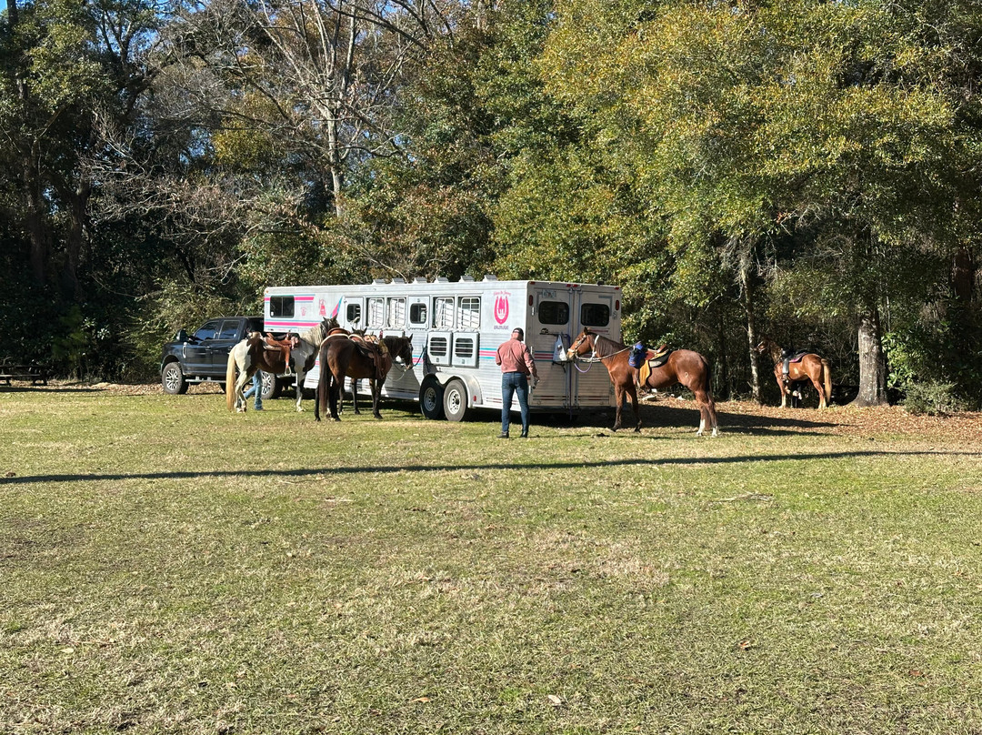 Believe The Journey Horse Services景点图片