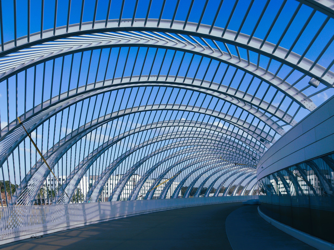 Florida Polytechnic University-莱克兰必去景点