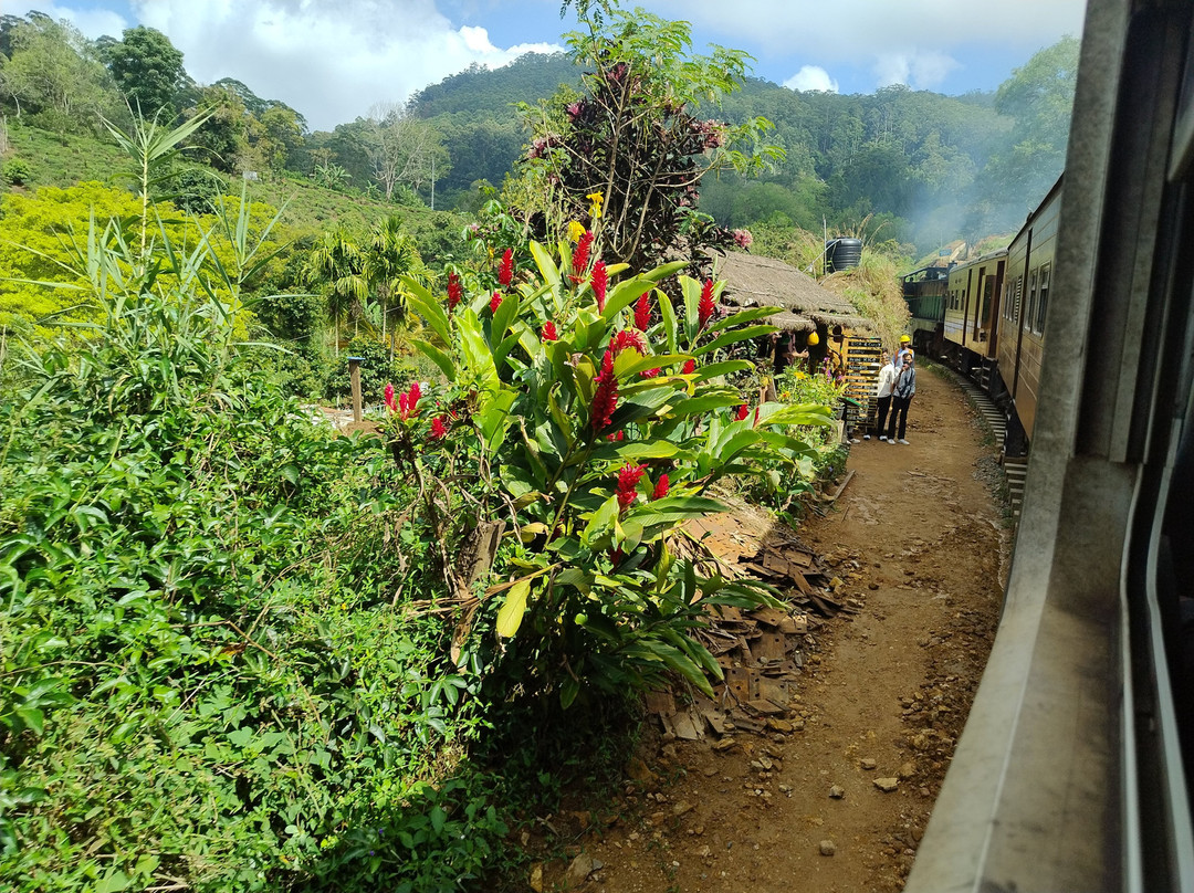 Sri Lanka Brothers Tour景点图片