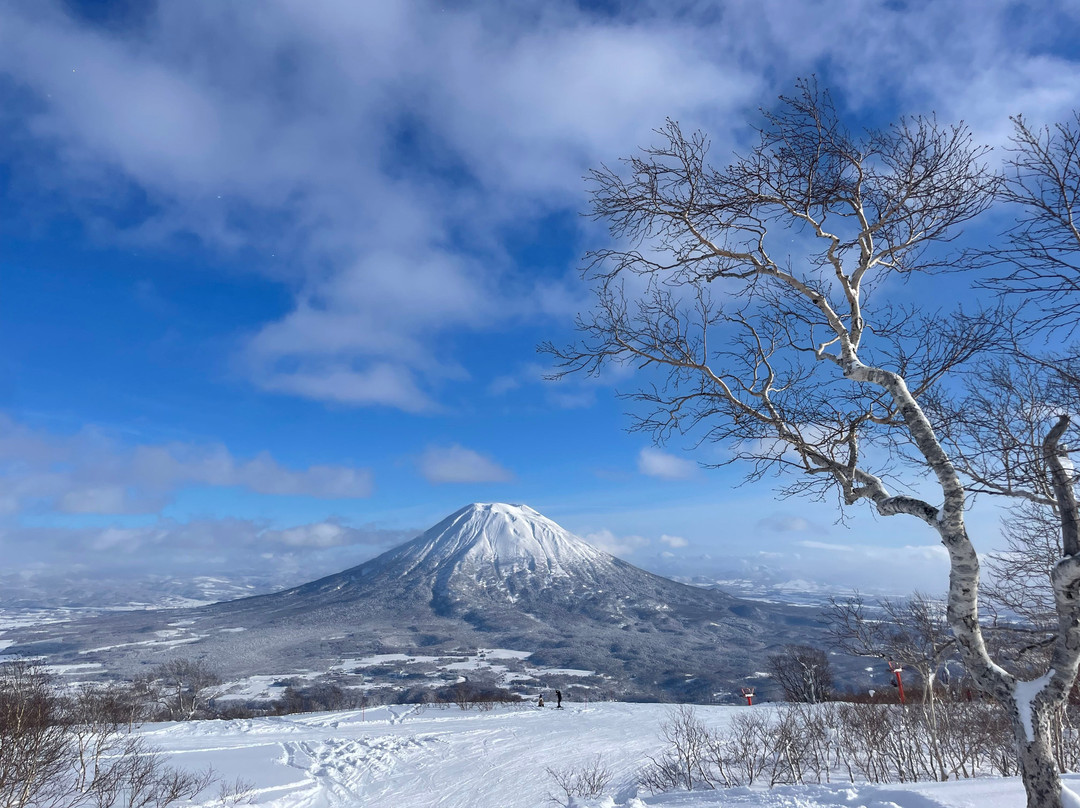 Niseko Winterlab-二世谷町必去景点