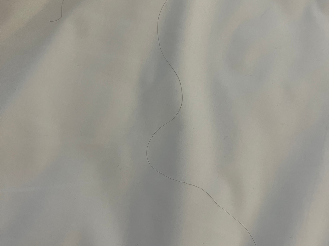 Wyndham Nordelta Tigre Buenos Aires主图