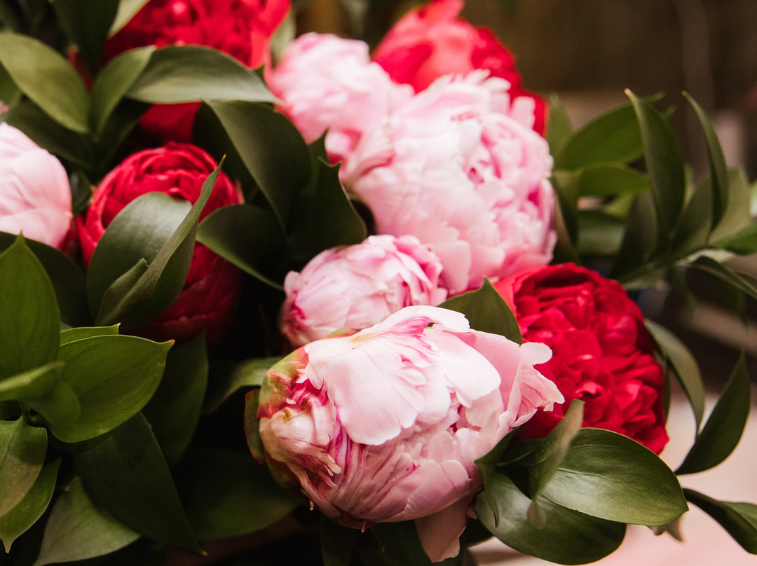 Camberwell Florist景点图片