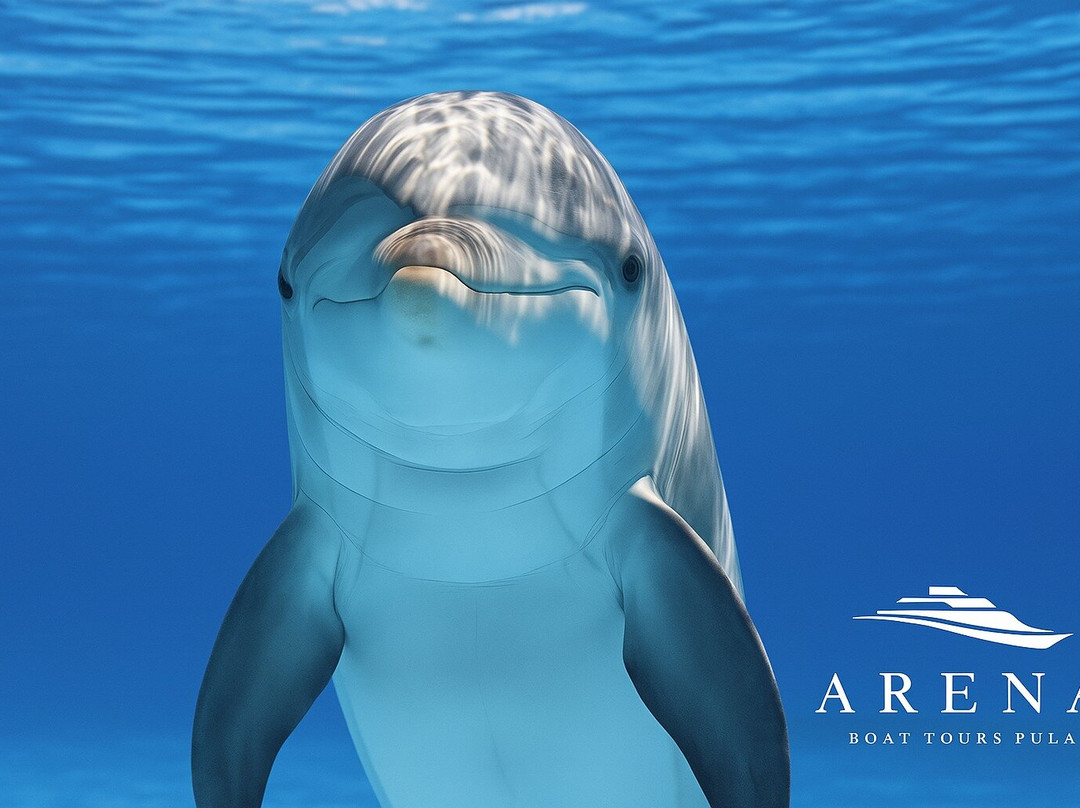 ARENA BOAT TOURS (Pula)-普拉必去景点