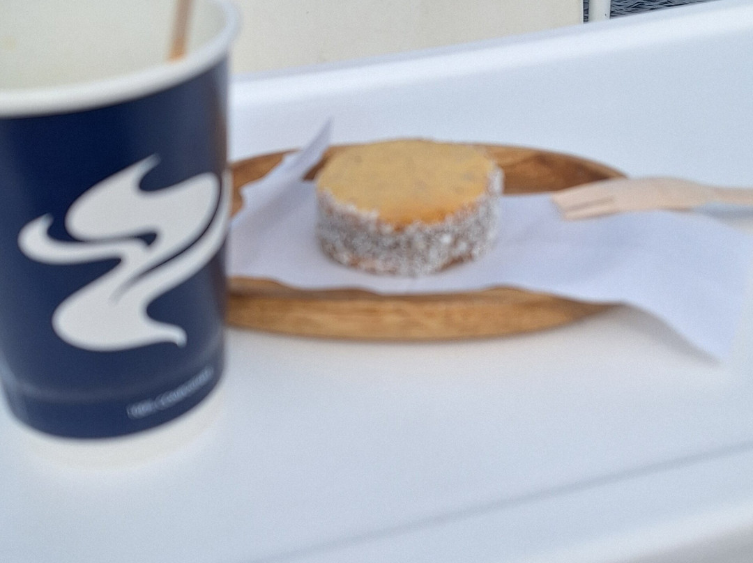 Catamaran Bandurria-Frutillar必去景点