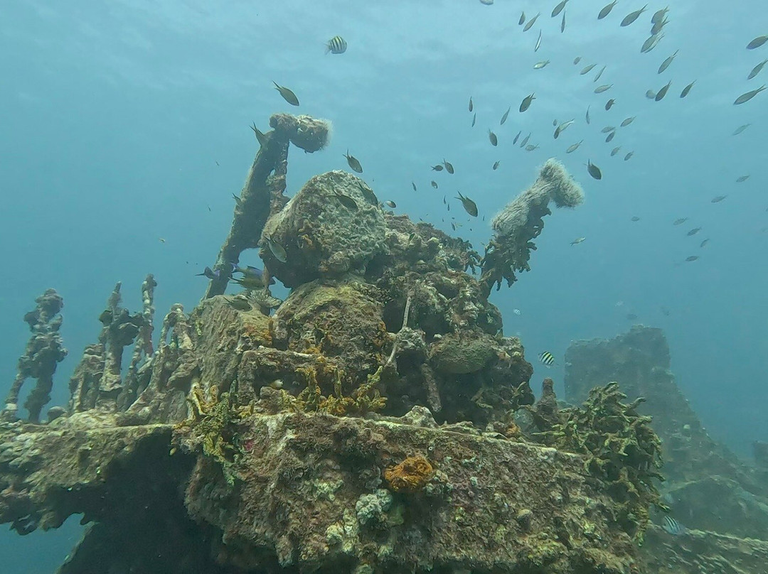 Scuba West Indies - Grenada景点图片