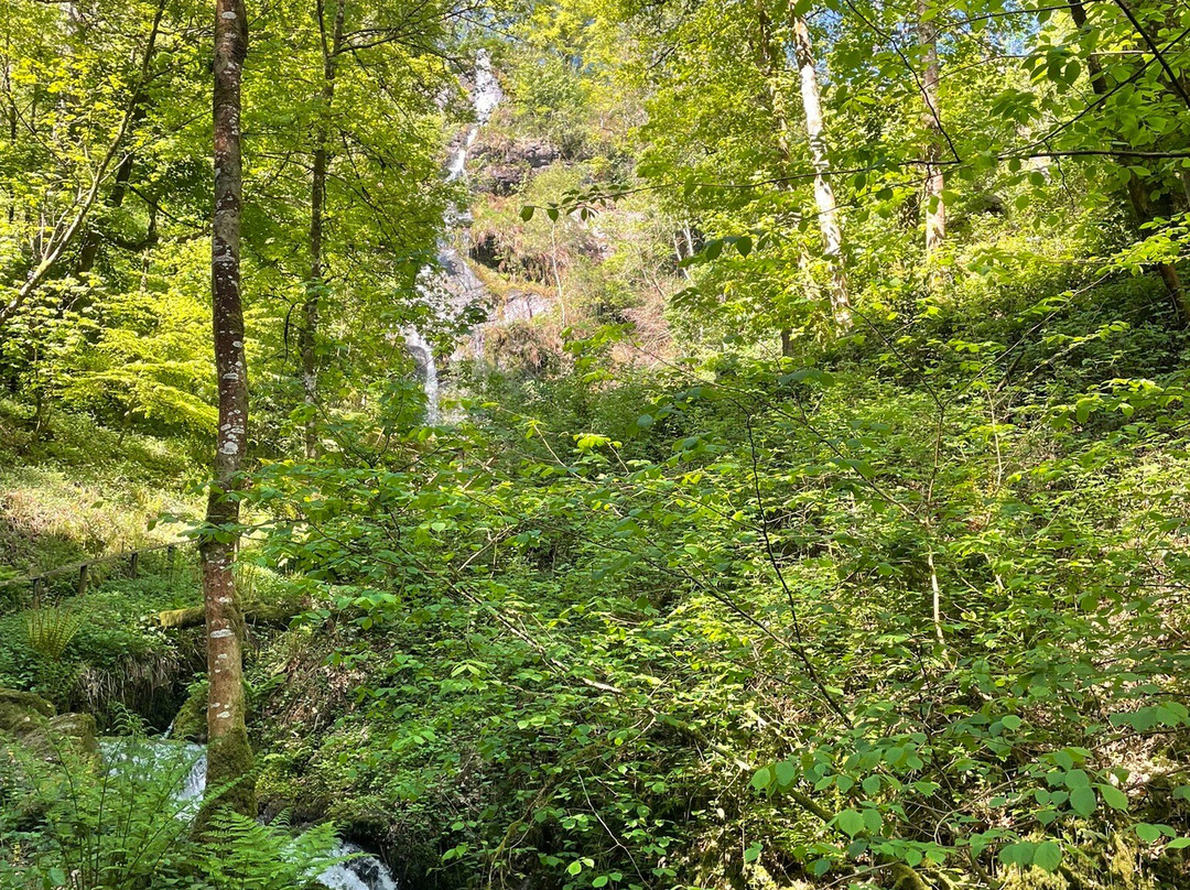 Canonteign Falls景点图片