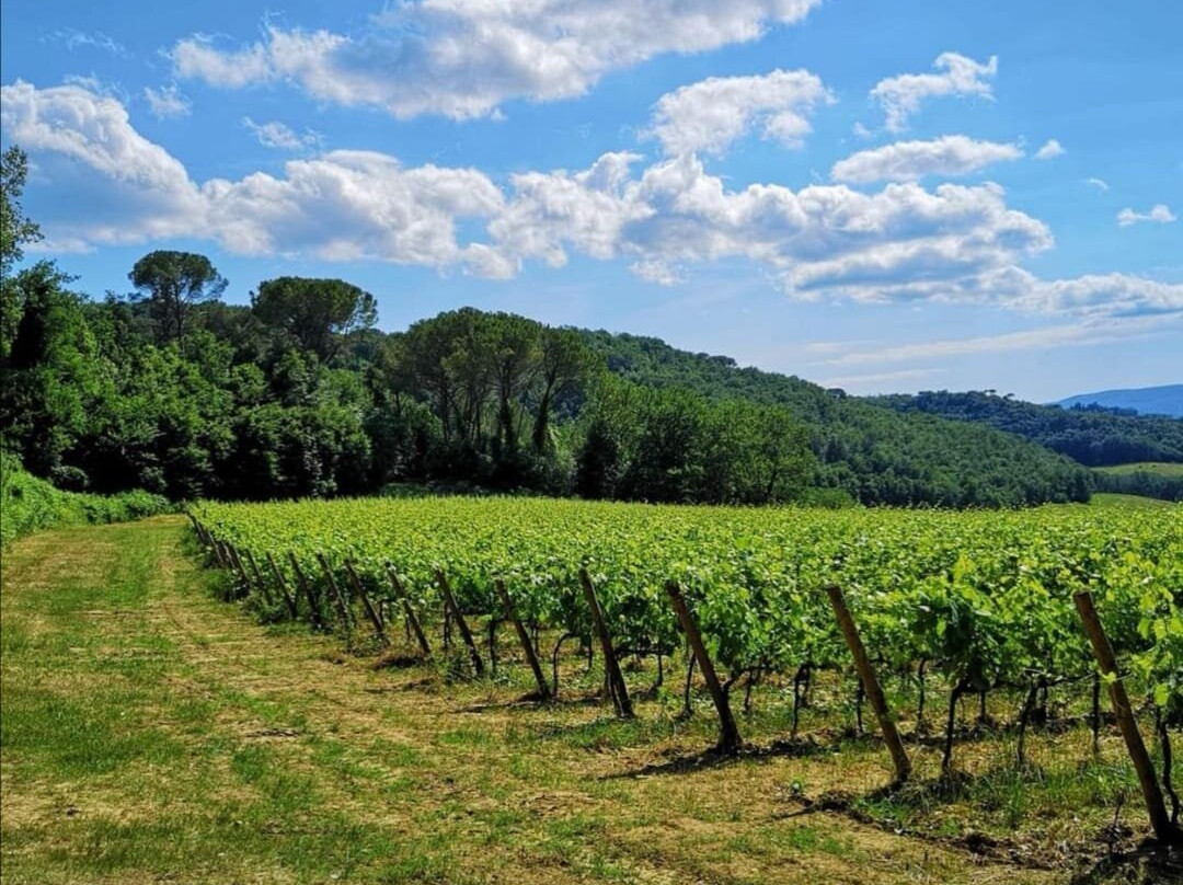 Farm Sant'Appiano景点图片