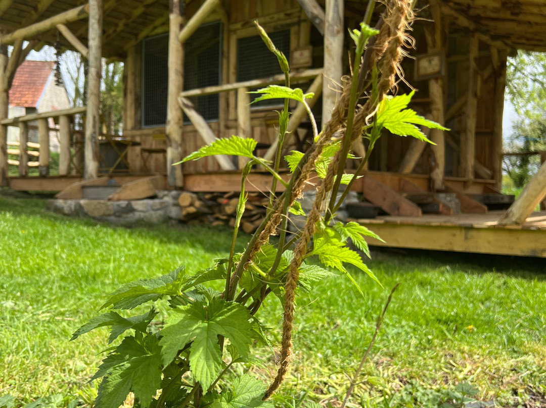 L'avalée De La Kreuze-Anzeme必去景点