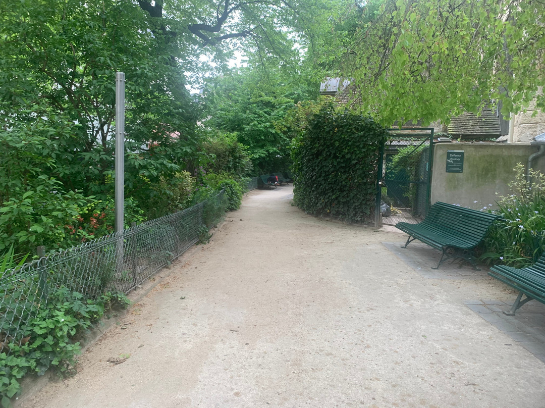 Square Saint Medard景点图片