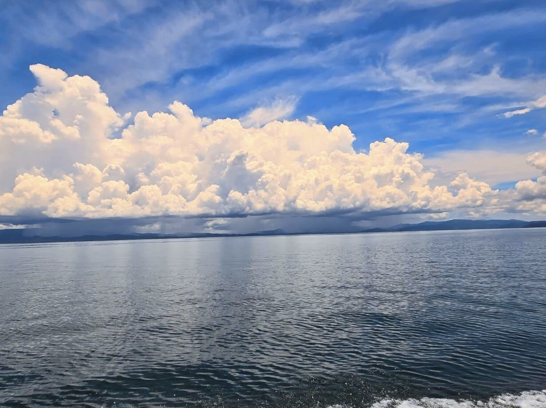 Changing Tide Tours-希门尼斯港必去景点
