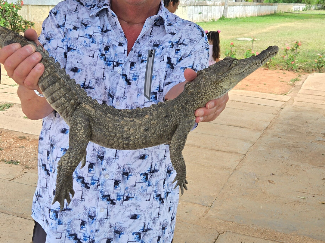 Crocodile Farm-Moron必去景点