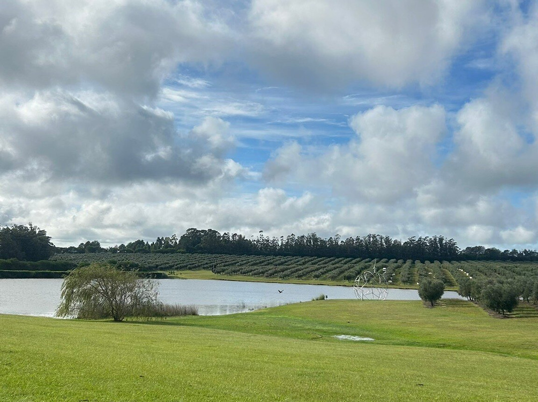 Jose Ignacio Bodega Oceanica-Jose Ignacio必去景点
