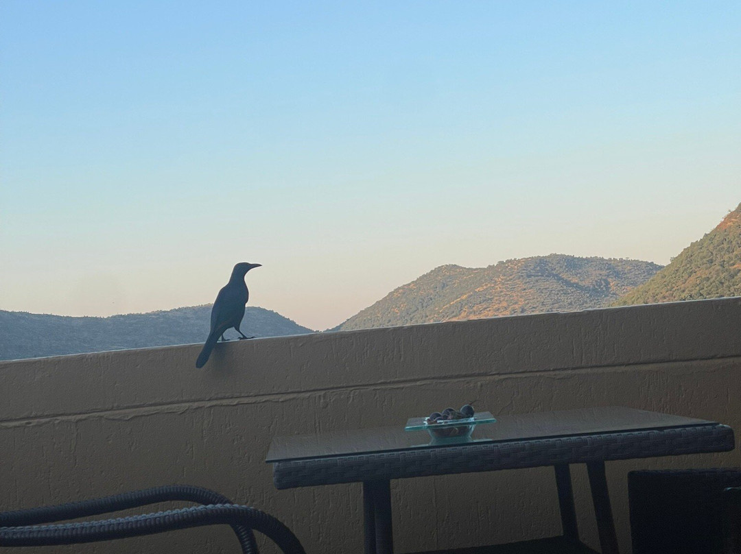 Sun City Resort-鲁斯登堡必去景点