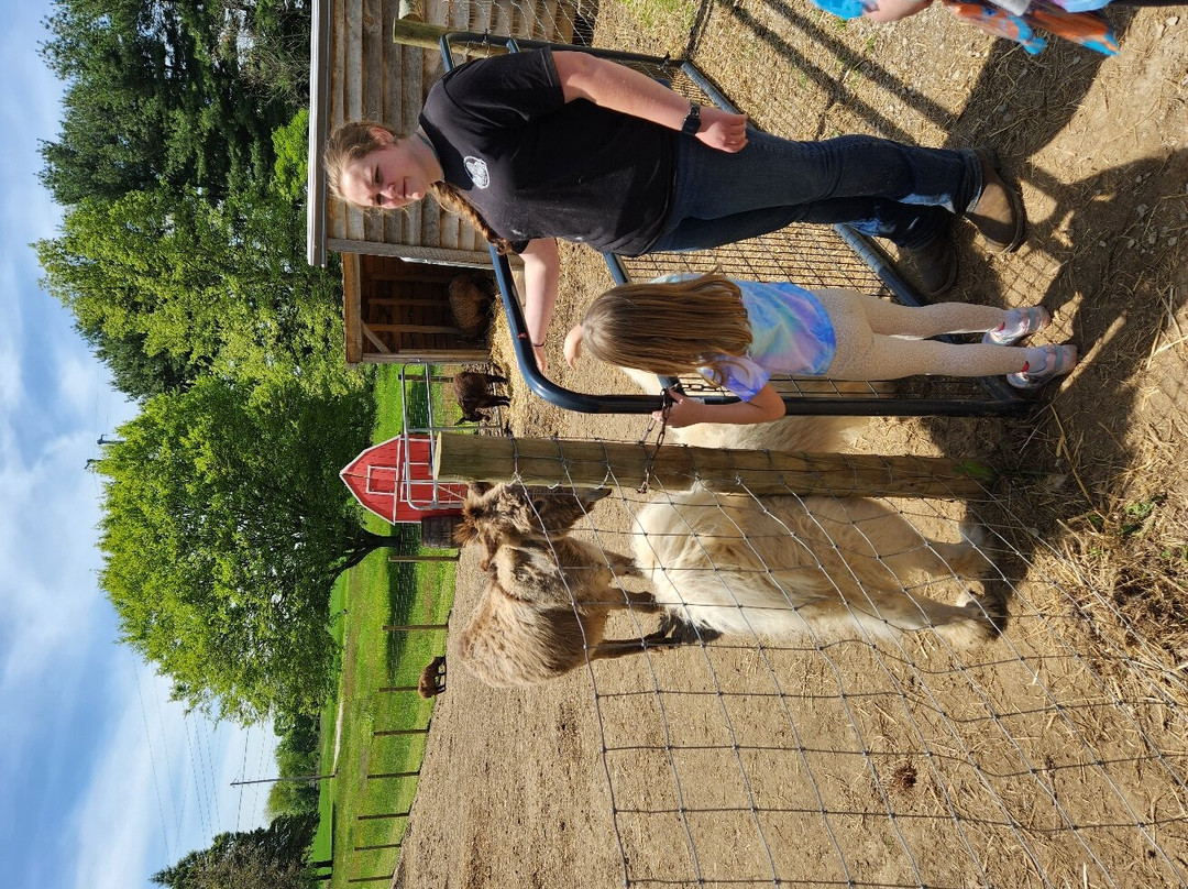 Picture Picture Ranch-Lancaster必去景点