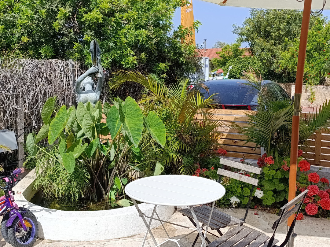 Dolphin Village主图