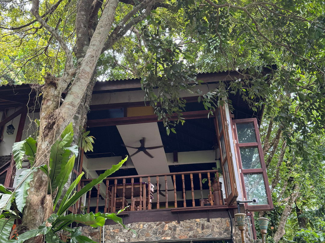 Amaala Spa & Wellness景点图片