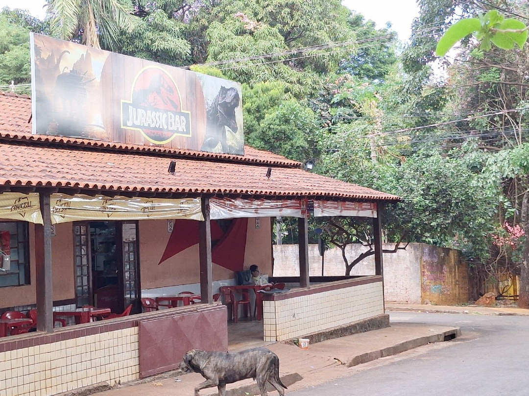 Museu Do Dinossauro景点图片