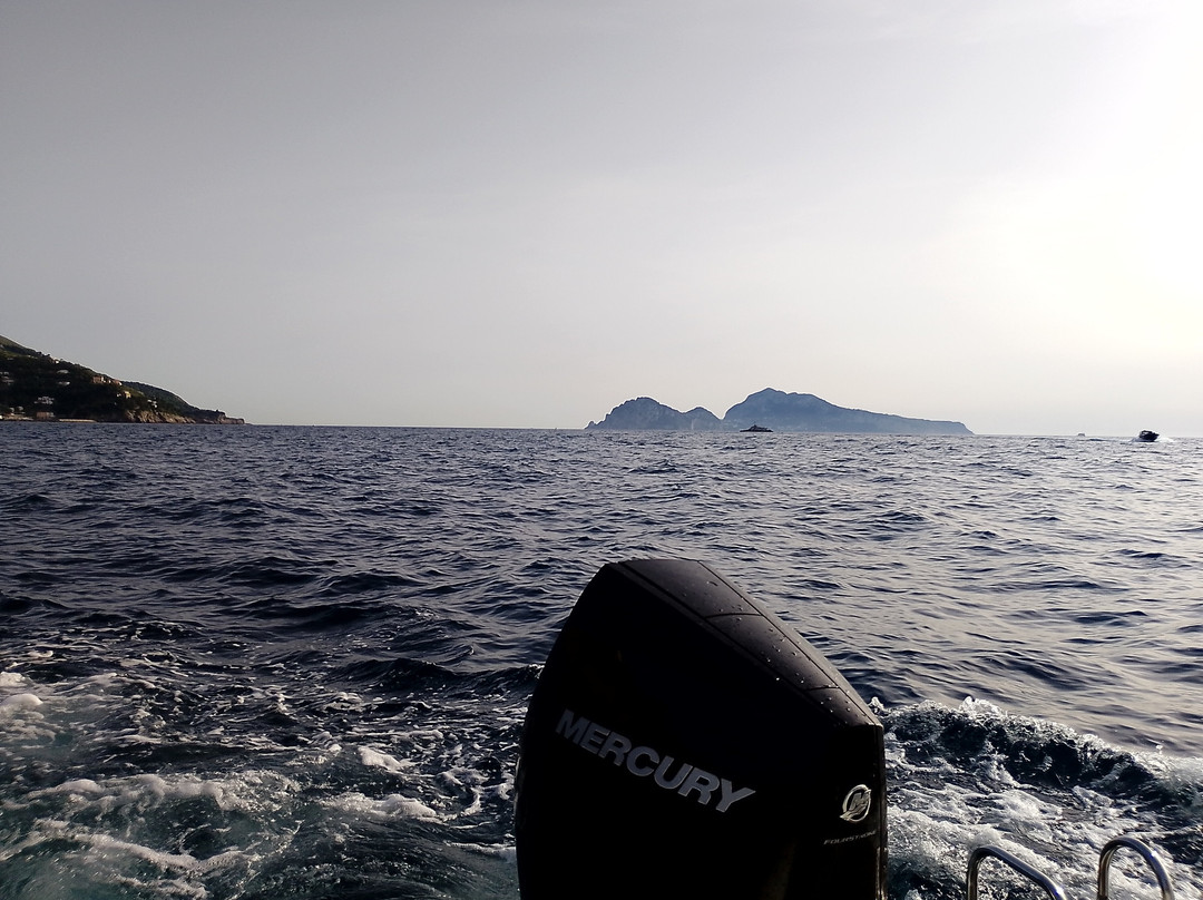 Stellaris Charter-索伦托必去景点