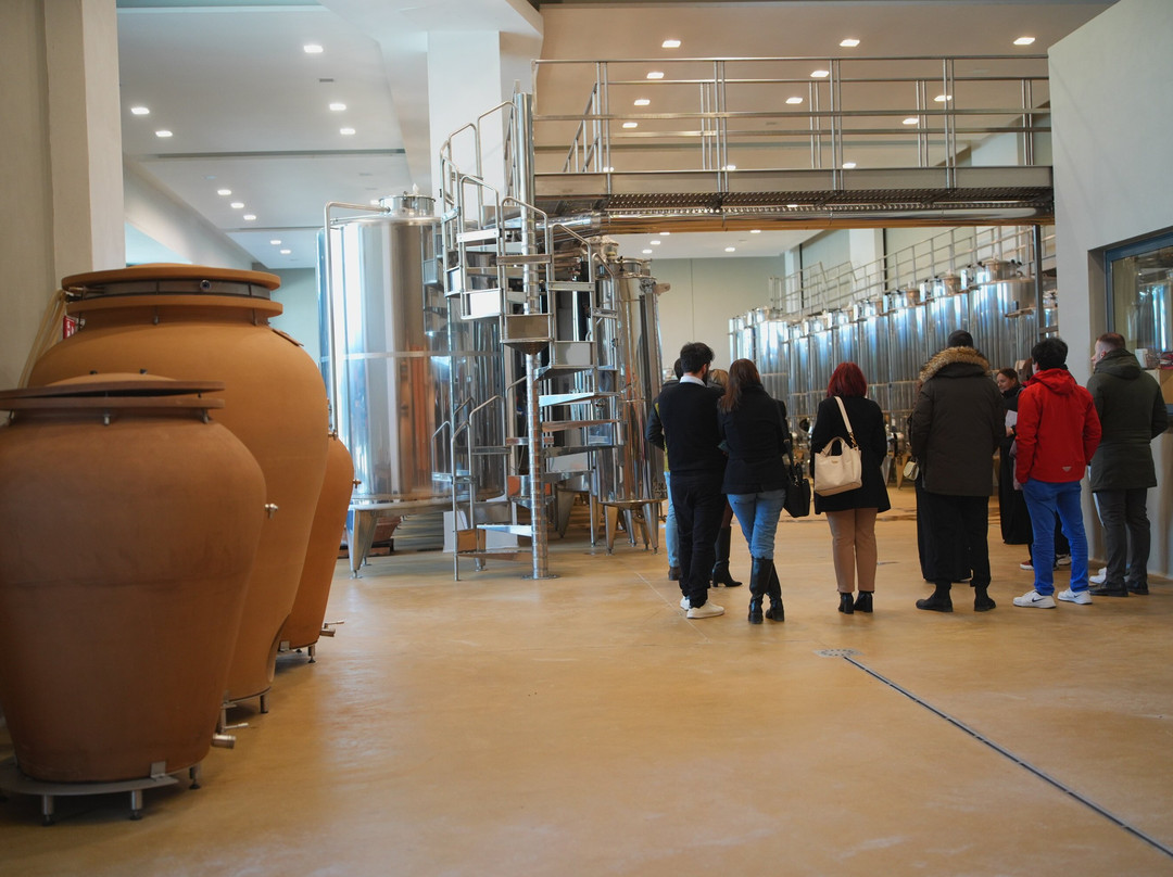 Fonzone Winery景点图片