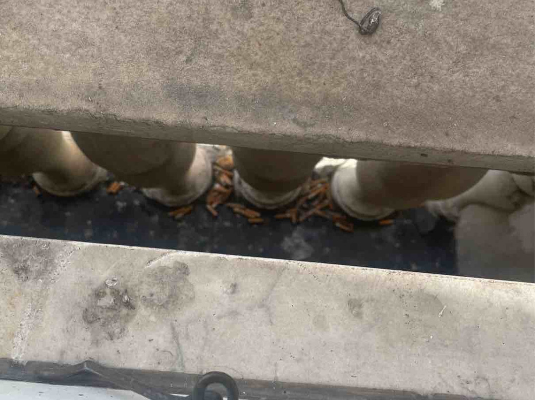 Grand Hotel Mediterranée主图