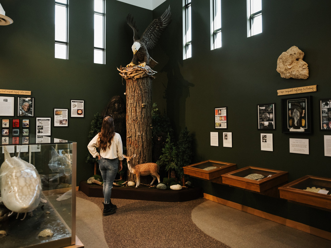 Harrison Visitor Information Centre & Sasquatch Museum-哈里逊温泉必去景点