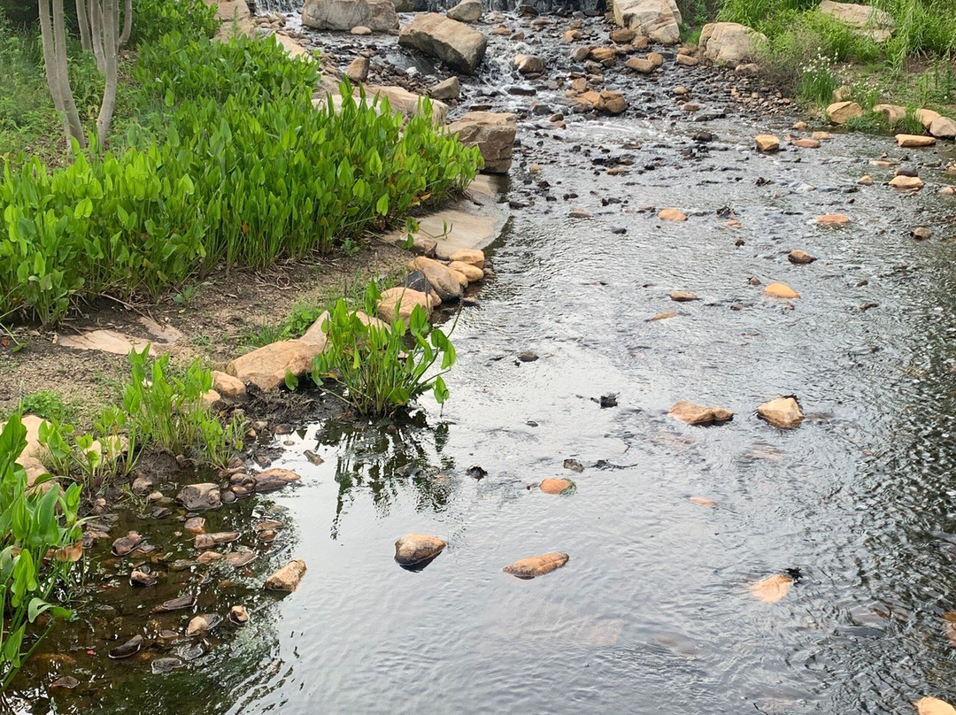 Downtown Cary Park-卡瑞必去景点