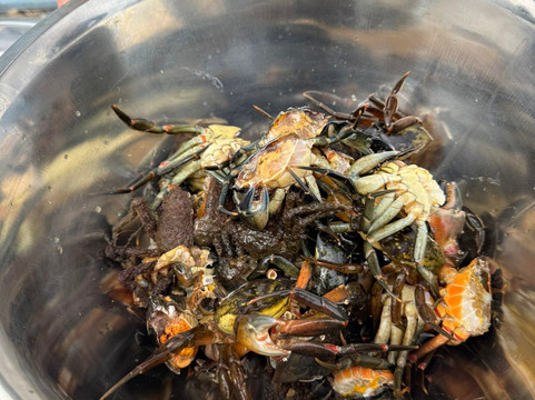 Bergen Fjord Adventures-卑尔根必去景点