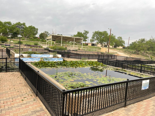 The International Waterlily Collection-圣安吉洛必去景点