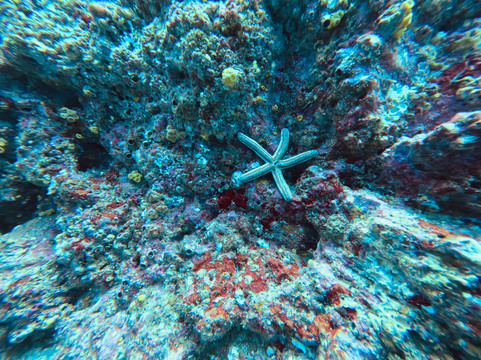 Life & Dive-Playas del Coco必去景点