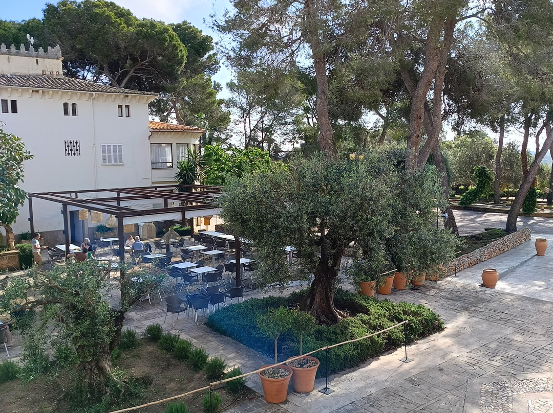 Hotel Castell Dels Hams主图