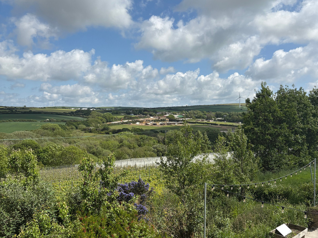 Trevibban Mill Vineyard & Orchard-Wadebridge必去景点