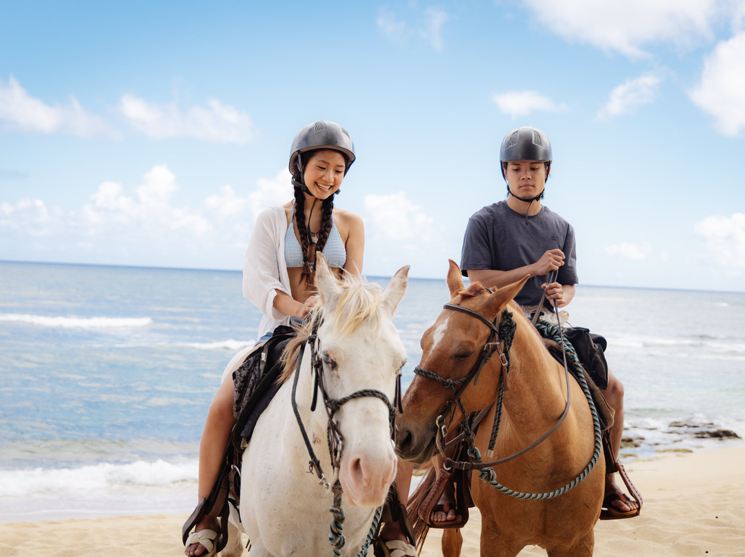 Hawaii Polo Trail Rides-瓦亚禄必去景点