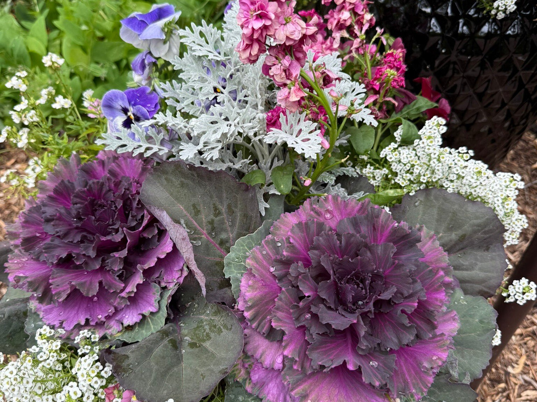 Cantigny-Wheaton必去景点