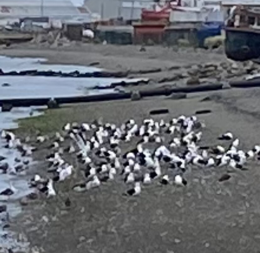 Museo Nao Victoria-蓬塔阿雷纳斯必去景点