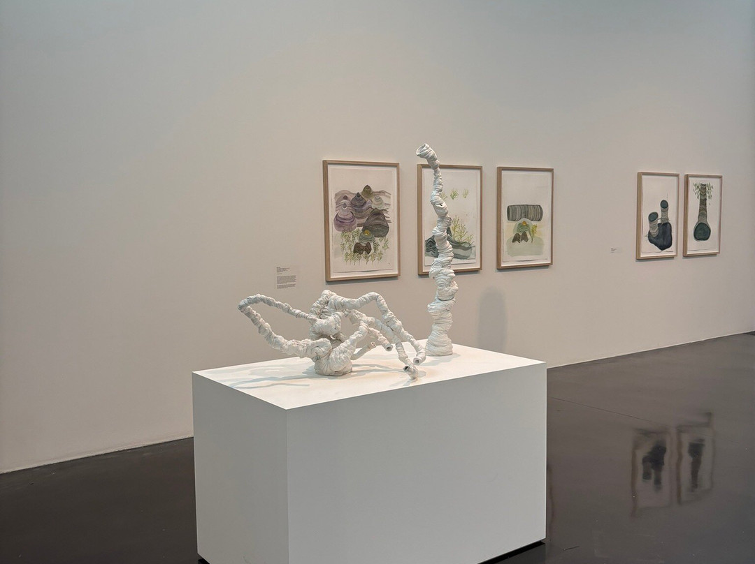 The New Art Gallery Walsall-沃尔萨尔必去景点