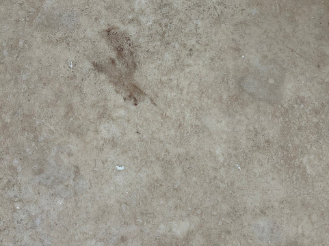 The Ocean View Hotel主图