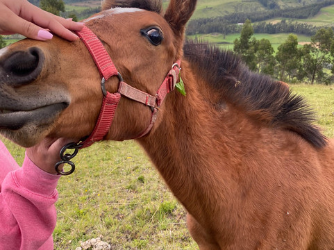 Instinto Ecuador Tours-基多必去景点