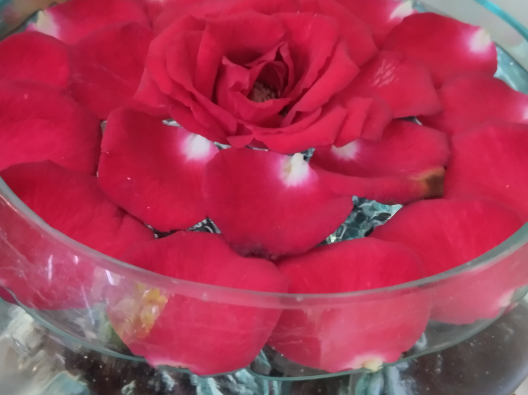 Radha Spa At The Sankara Suites & Villas-乌布必去景点