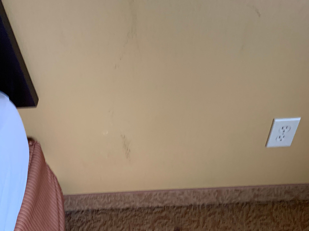 Comfort Inn & Suites Rome South主图