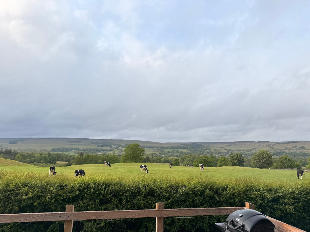 The Wensleydale Experience景点图片