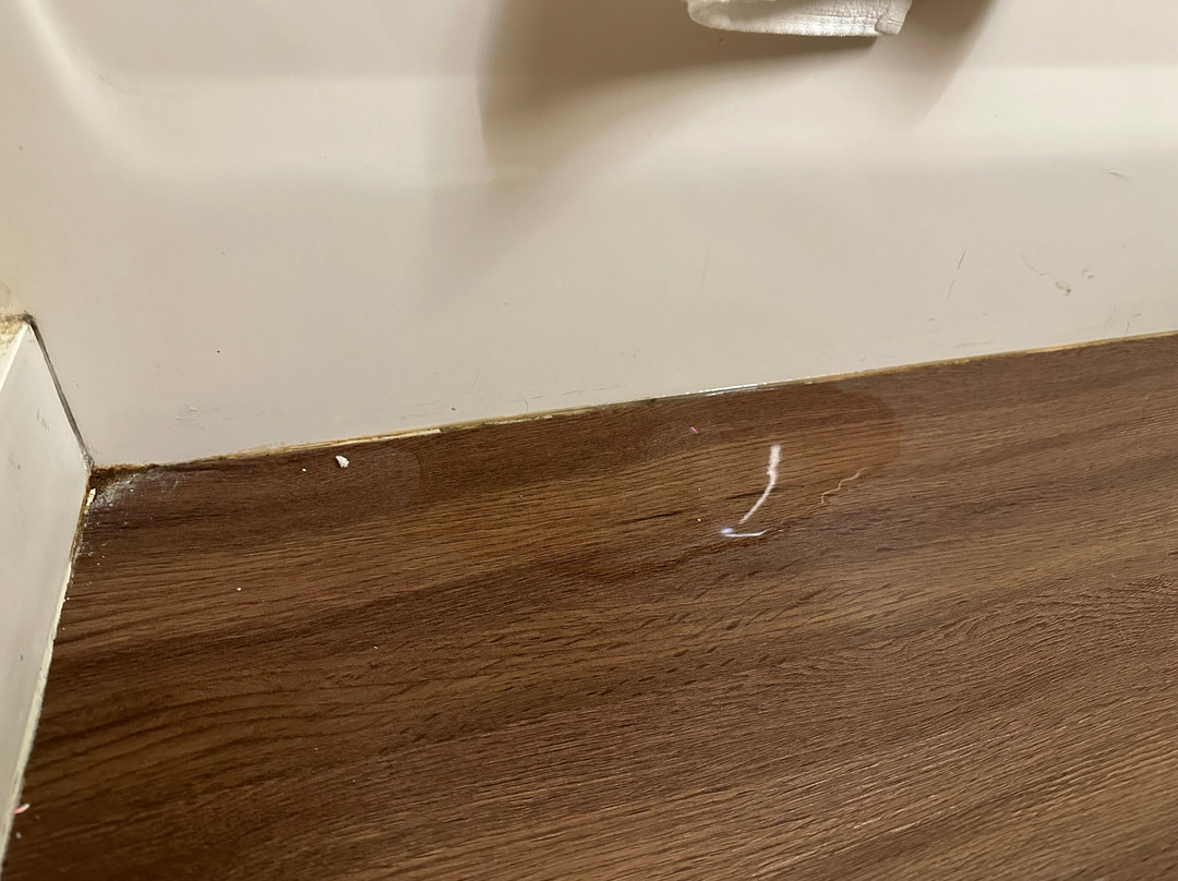 Microtel Inn & Suites by Wyndham Ocala主图