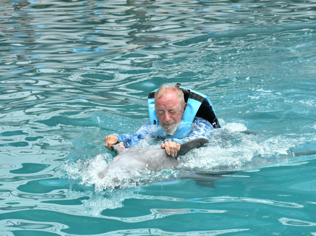 Dolphinaris Riviera Maya Park景点图片