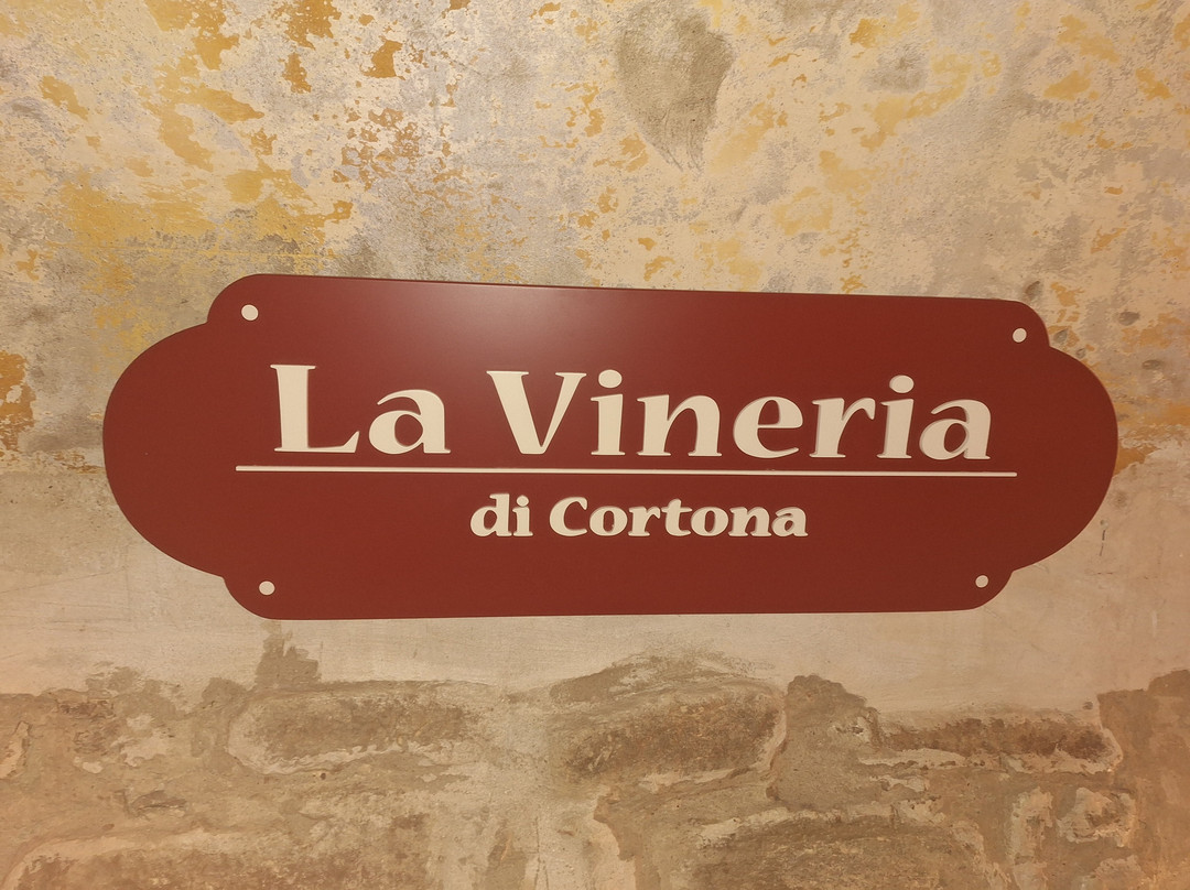 La Vineria Di Cortona